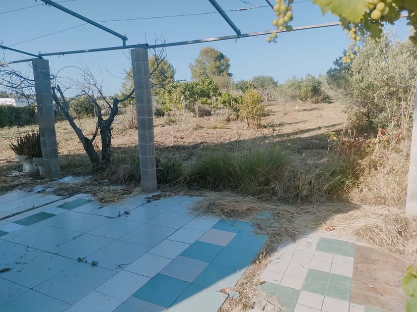 39027