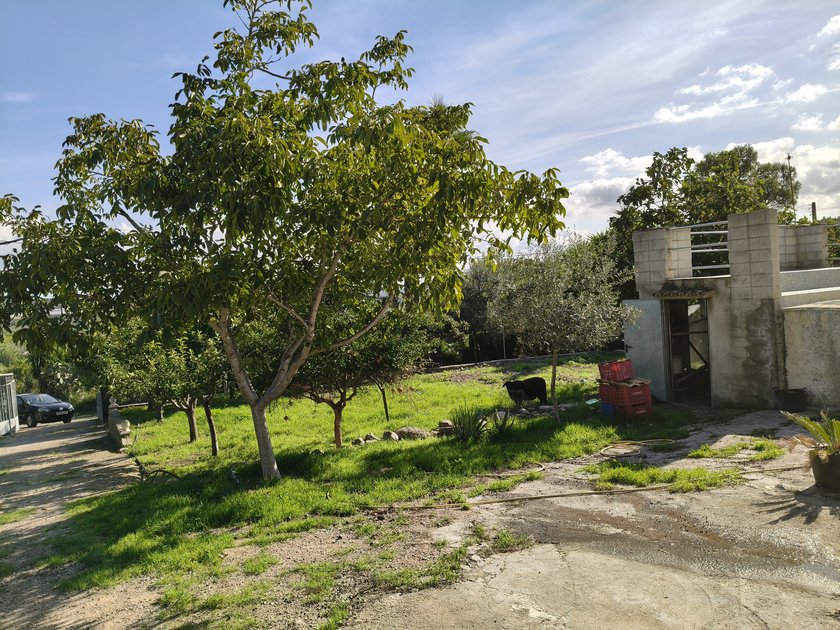 40651
